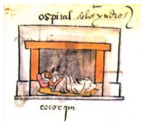 Figure 2. Tlacuilo's version of the hospital for Indians in the Codex Osuna.