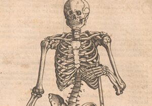 Engravings by Doctor Juan Valverde from 1556 | ABC